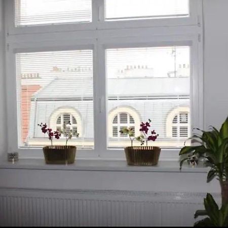 Lenka'S Cozy Red Studio + Lenka'S Cozy Gold Apartment Praag Buitenkant foto