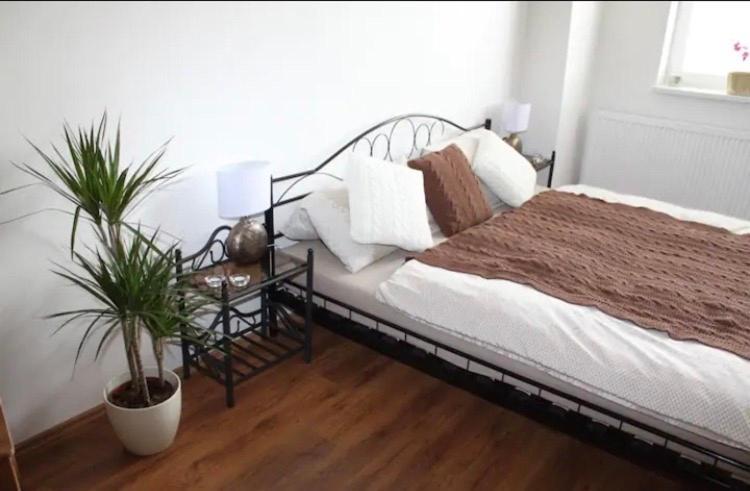 Lenka'S Cozy Red Studio + Lenka'S Cozy Gold Apartment Praag Buitenkant foto
