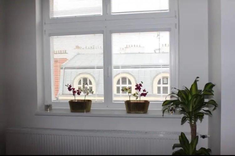 Lenka'S Cozy Red Studio + Lenka'S Cozy Gold Apartment Praag Buitenkant foto
