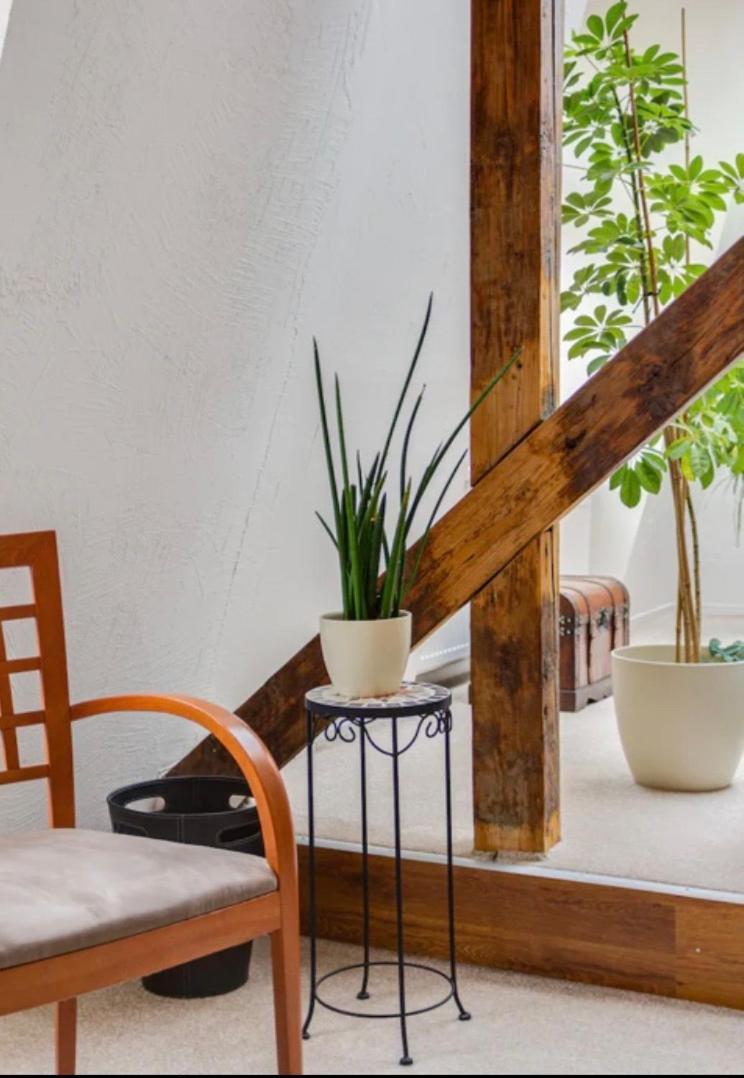 Lenka'S Cozy Red Studio + Lenka'S Cozy Gold Apartment Praag Buitenkant foto